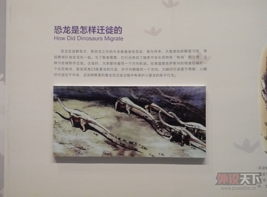P51205-114140.jpg