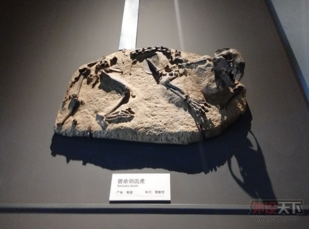 P51205-120627.jpg