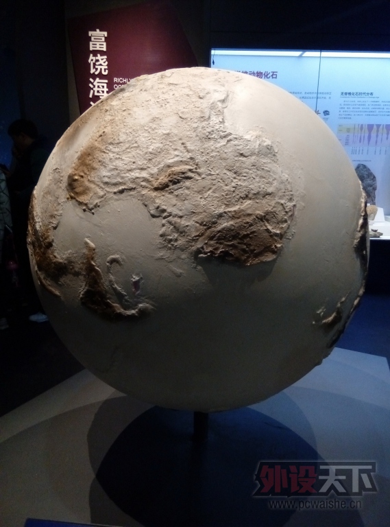 P51205-120835.jpg
