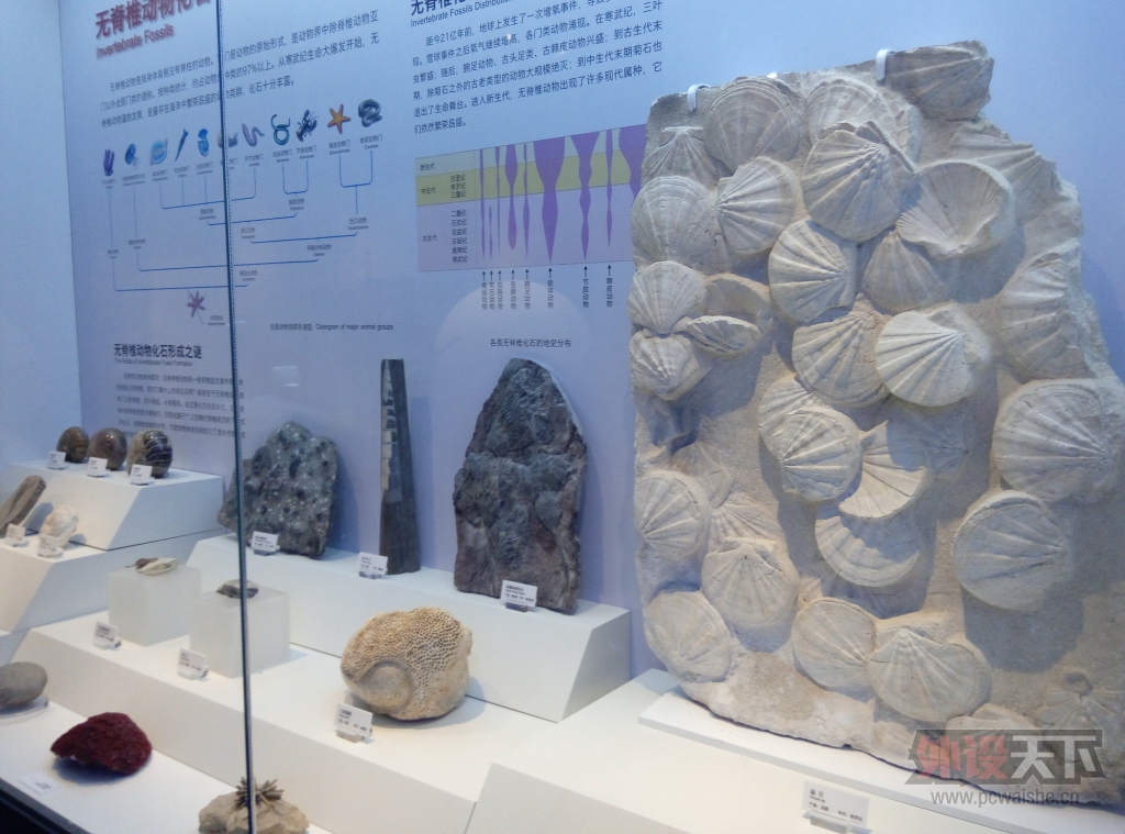P51205-120849.jpg