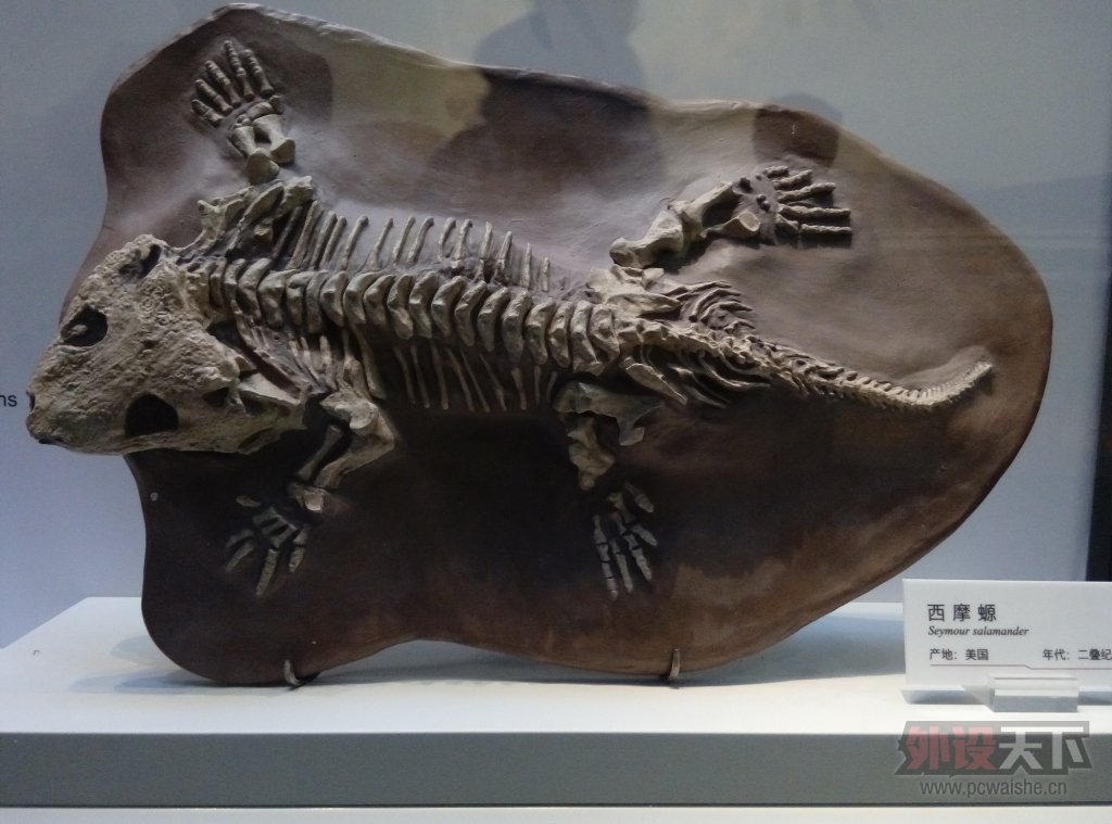 P51205-121431.jpg