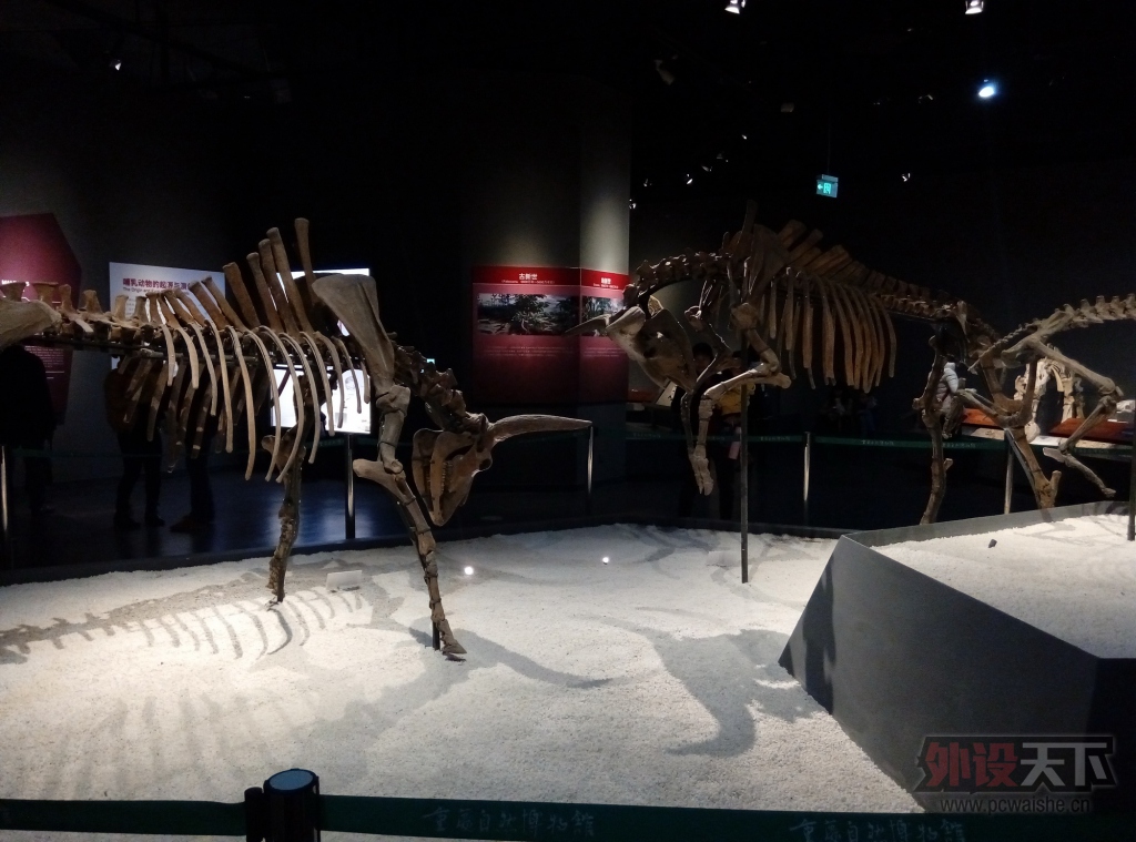 P51205-122551.jpg