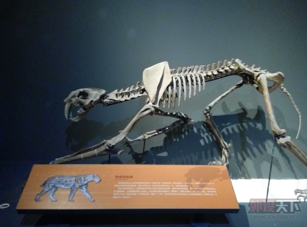 P51205-122638.jpg