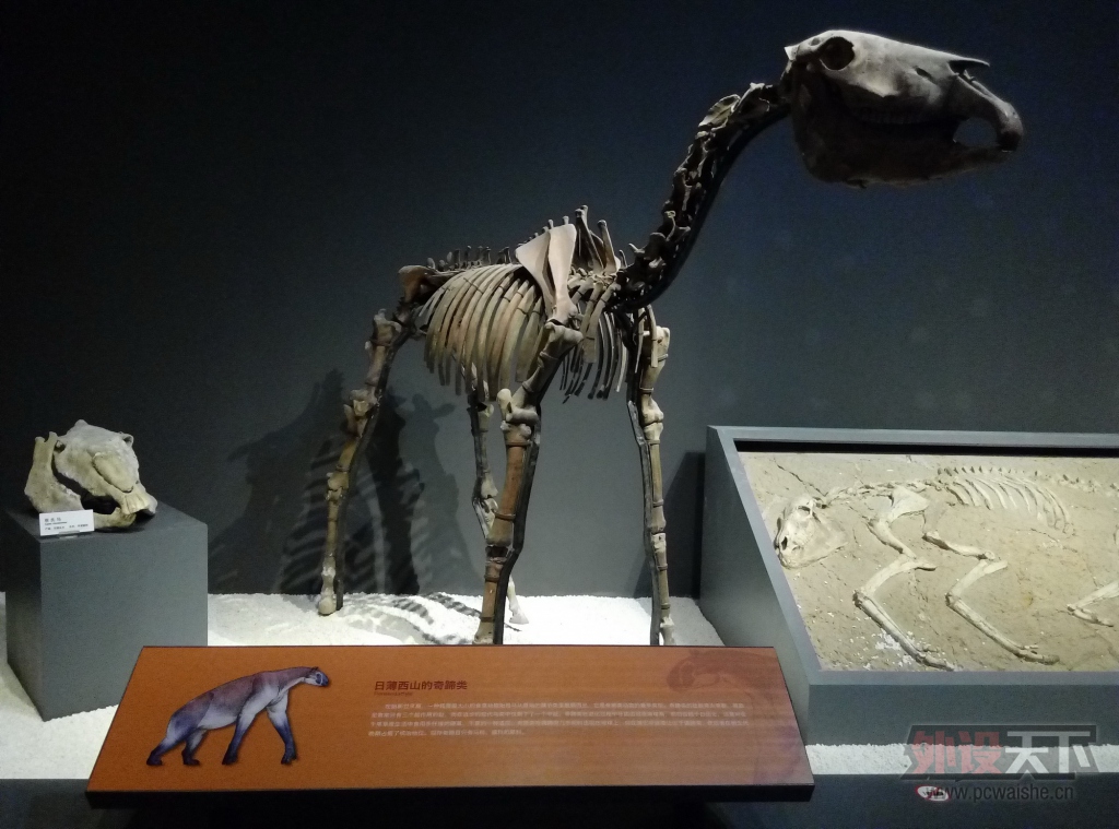 P51205-122646.jpg