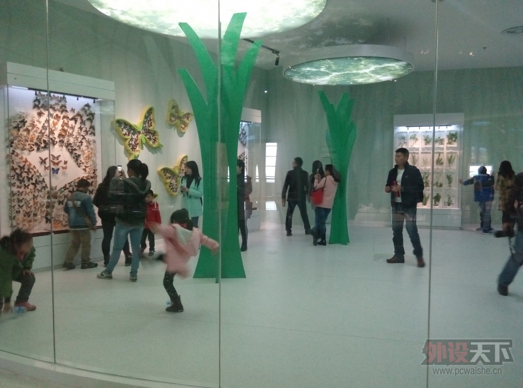 P51205-124835.jpg
