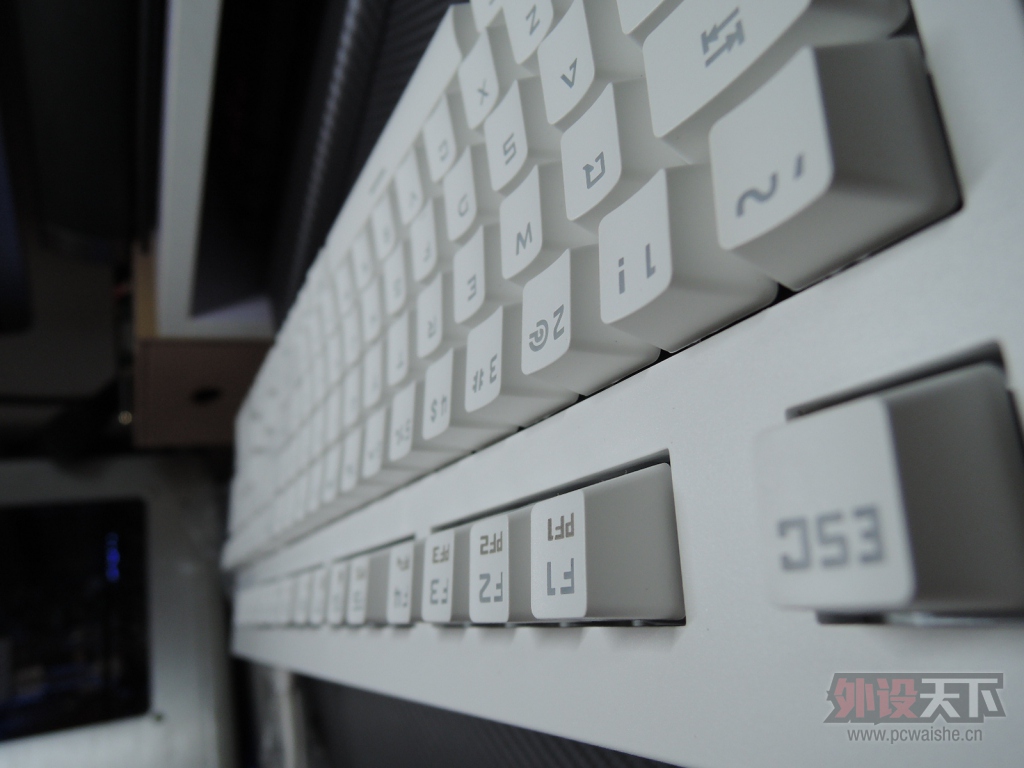 DSCN3338.JPG