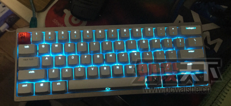 �����ݡ���ֳ���һ����������ñ