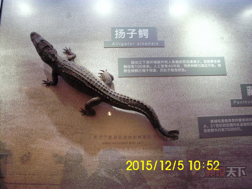 ��������Ȼ������¹��μǡ�����ͼƬ��ʵ