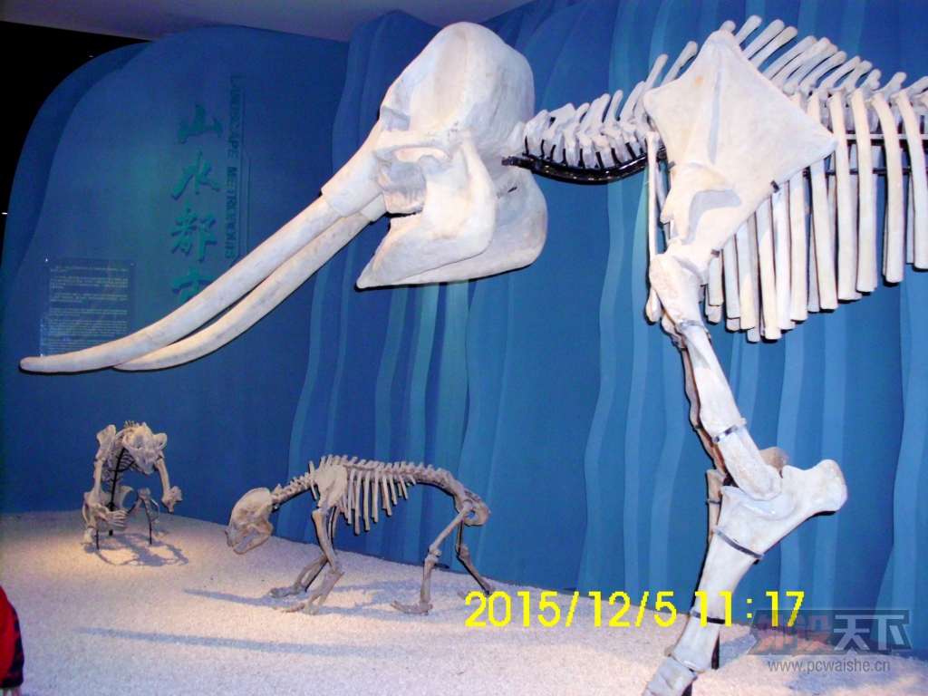 IMG_4478.JPG