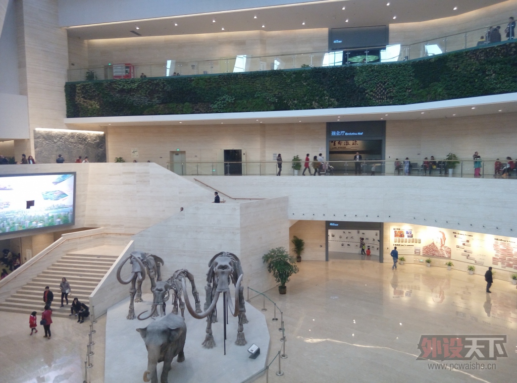 P51205-124238.jpg