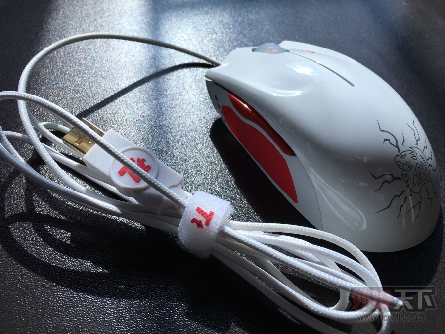 ���㽭�� ��TTʥ��ʿDKս�Ӱ棬����һ˫���Ի�����ȫ��41��Ĳ�����ƤƤЬ