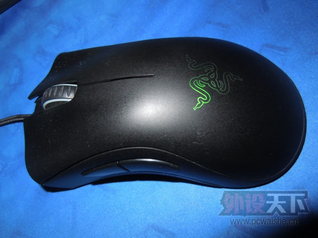 DSCN5310.JPG
