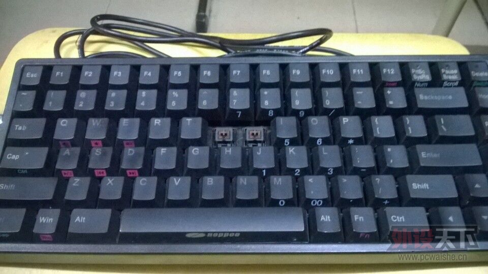 noppoo 84 ӣ�Ҳ�