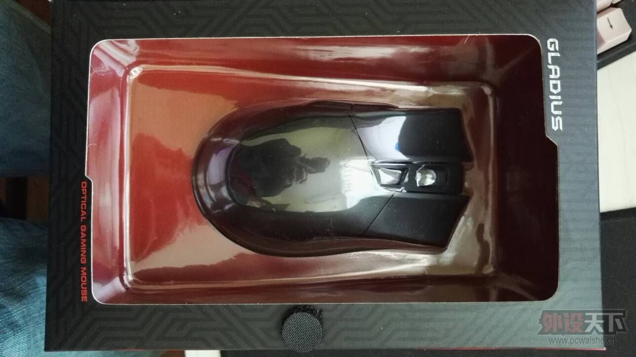 ���Ϻ�����˶��G���