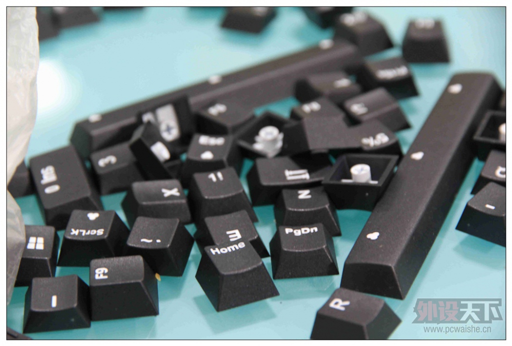 A��PBT��ɫ С��