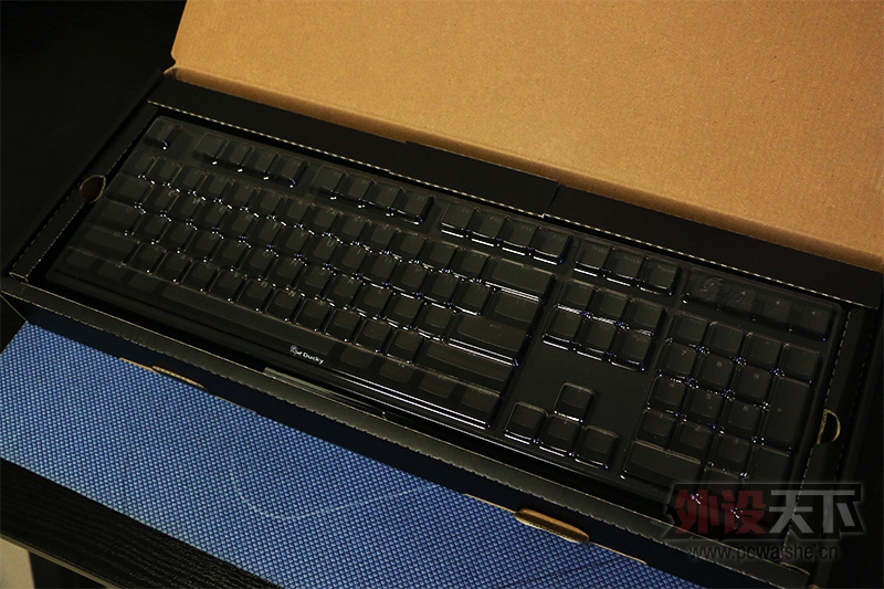 Ducky one!˼ʹһ룡