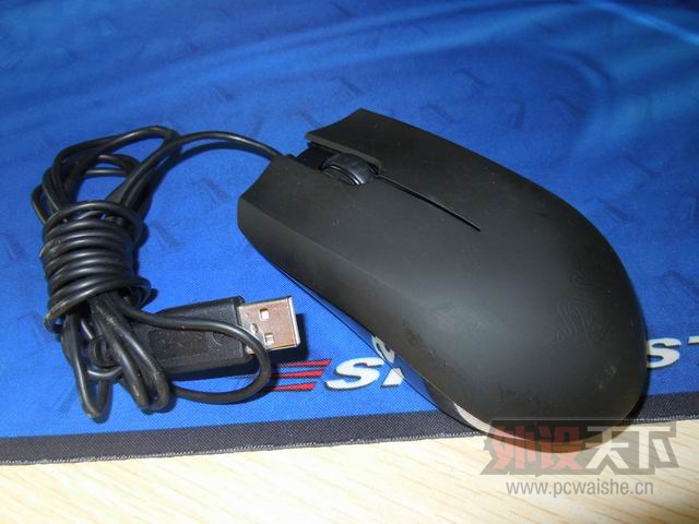 ������С DSCN5442.JPG