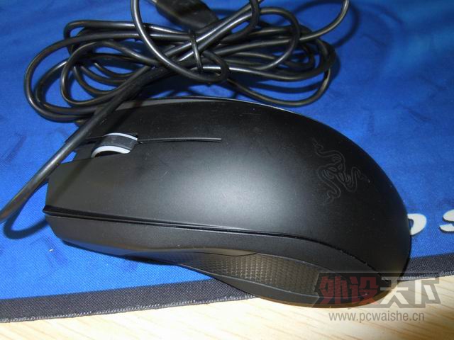 ������С DSCN5445.JPG