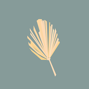 ����²��¡���32�� 2015.12.16