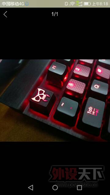 �����ۡ���Ӧ�ѣ�hc������hc��ͷ������poker��ը��Ҷ�����̹�ͷdiy��