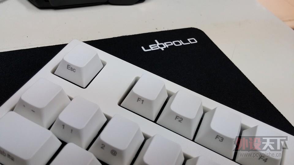 12359844_900977863285510_8415821342987329656_n.jpg