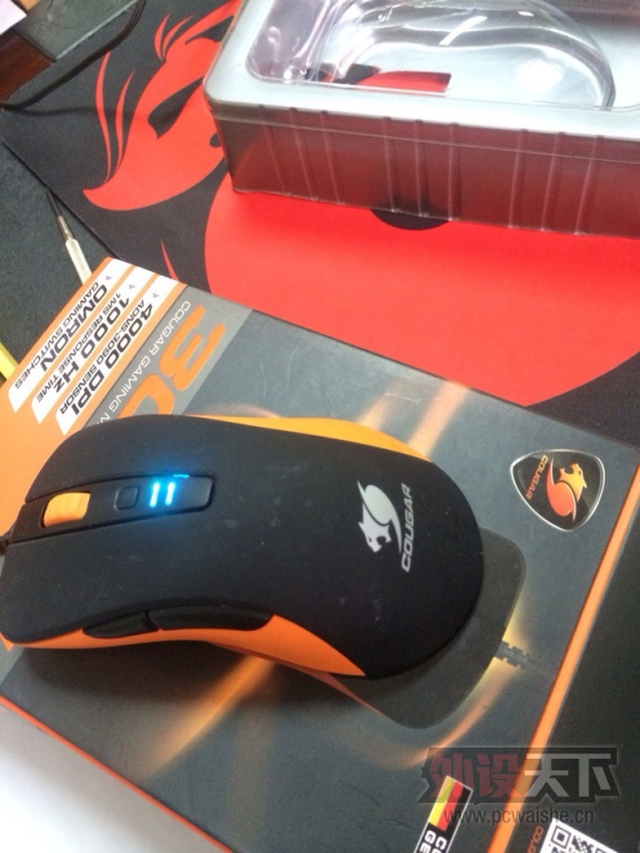 ����� SK �������� ����  ���� ʮ����