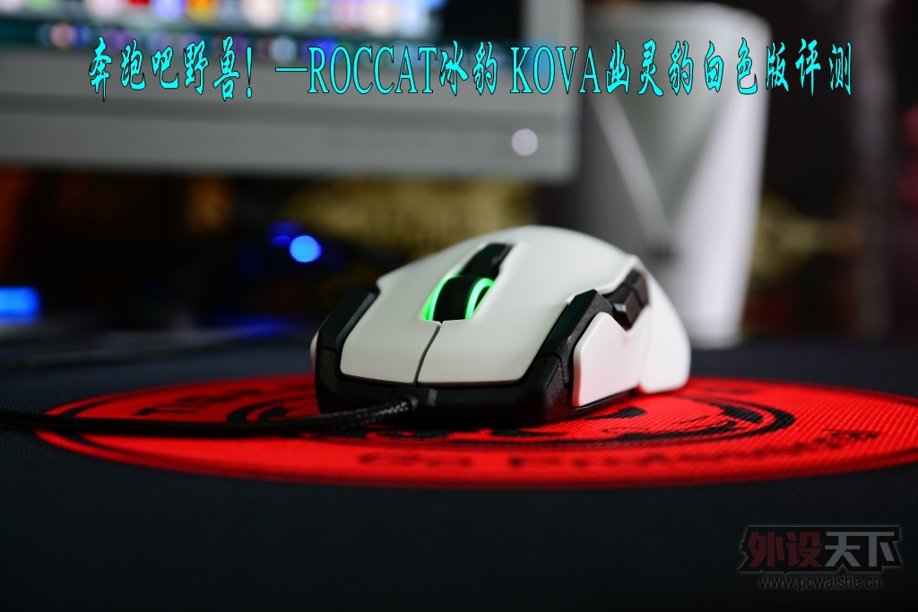 ���ܰ�Ұ�ޣ���ROCCAT���� KOVA���鱪��ɫ������