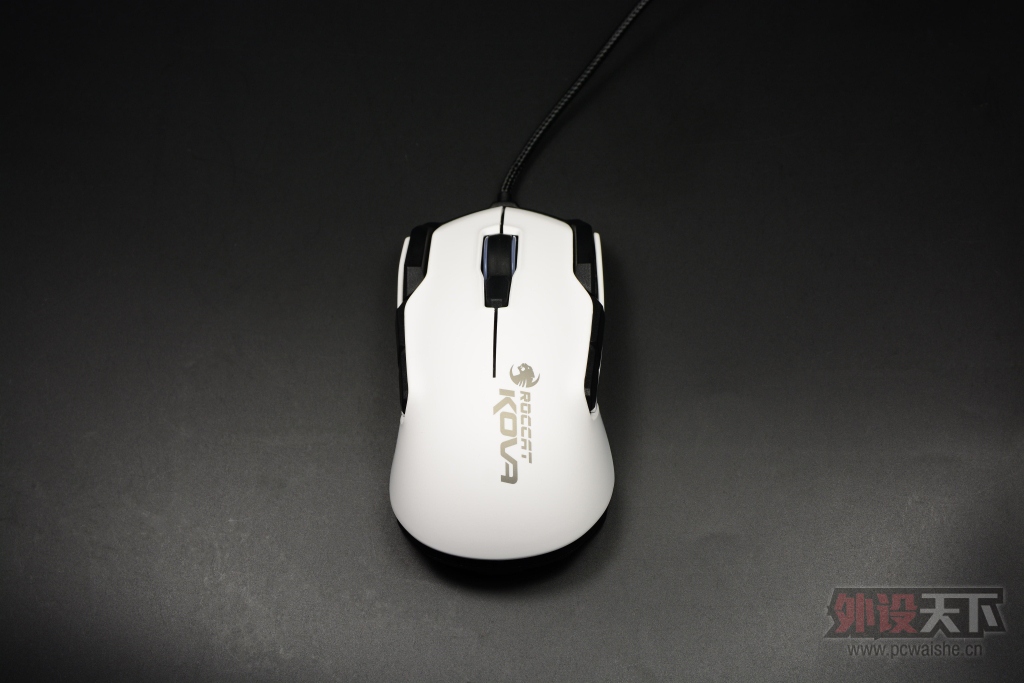 ���ܰ�Ұ�ޣ���ROCCAT���� KOVA���鱪��ɫ������
