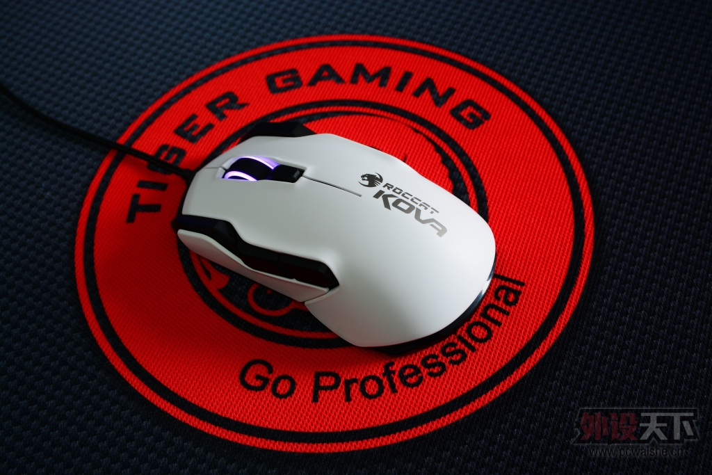 ���ܰ�Ұ�ޣ���ROCCAT���� KOVA���鱪��ɫ������