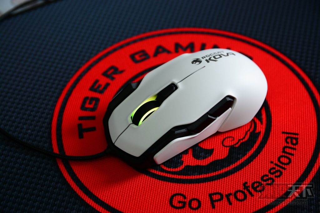 ���ܰ�Ұ�ޣ���ROCCAT���� KOVA���鱪��ɫ������