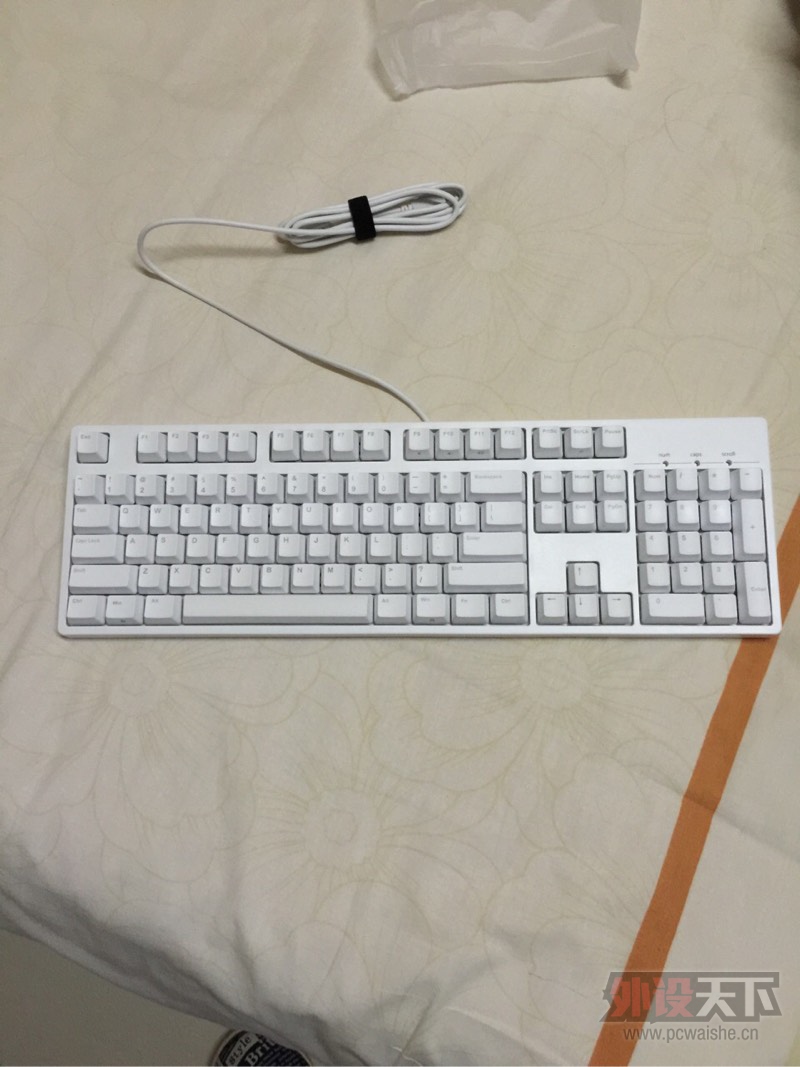 �����ݡ��ѳ� ������