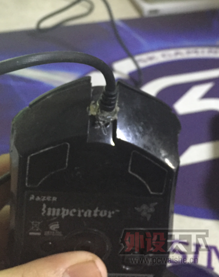 ������ ���kinzuv2    Reicat