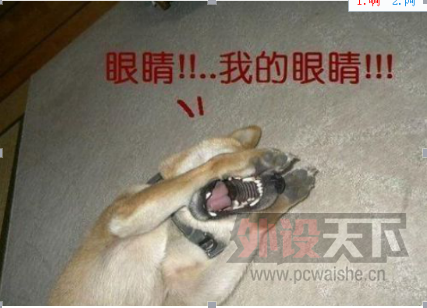 й�ܣ������۲�ҪǮ���Ž��е����