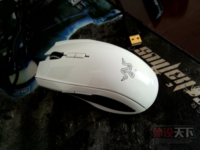 ������������ɫ̫�ʻ���