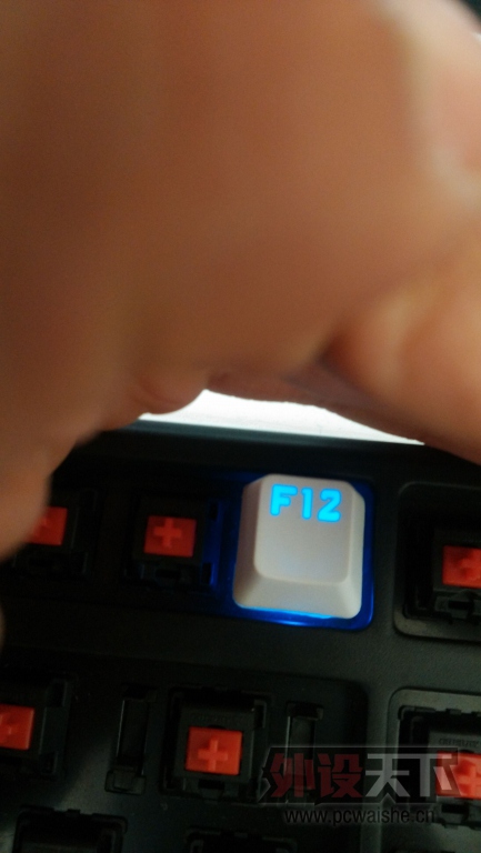 ���ѳ�����׶�ɫ��104 PBT��͸��ñ��