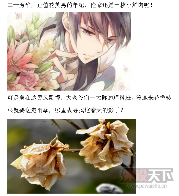 �����е�������·,ȫ��Realflash