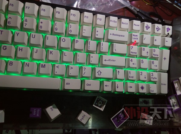 ���Ϻ���DUCK96V2