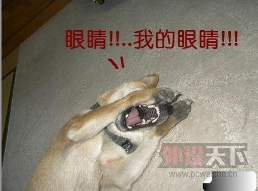 ������˾�����³��������߻ƽ���XK12���⡣