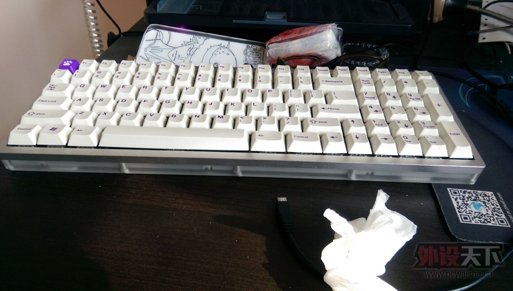 RS96����+�˲˰��ϼ�ñ