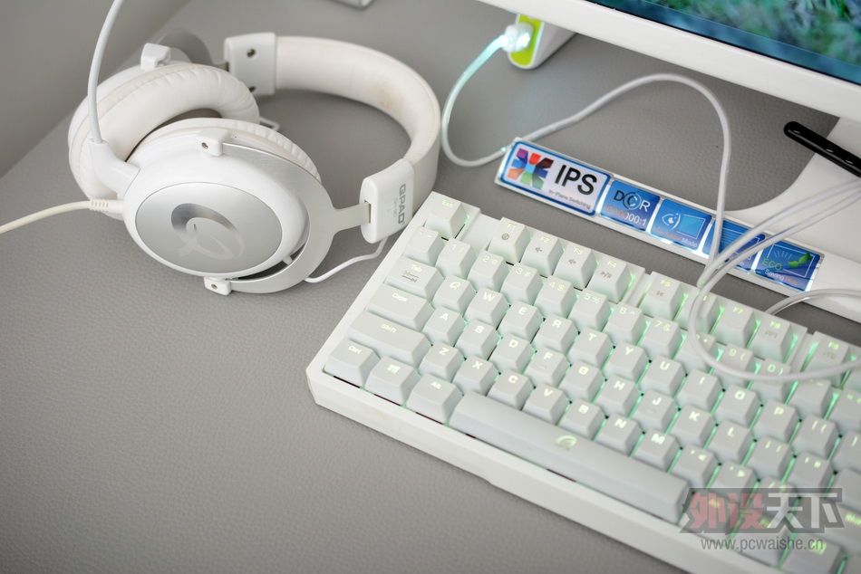 һˣQPAD DX-20