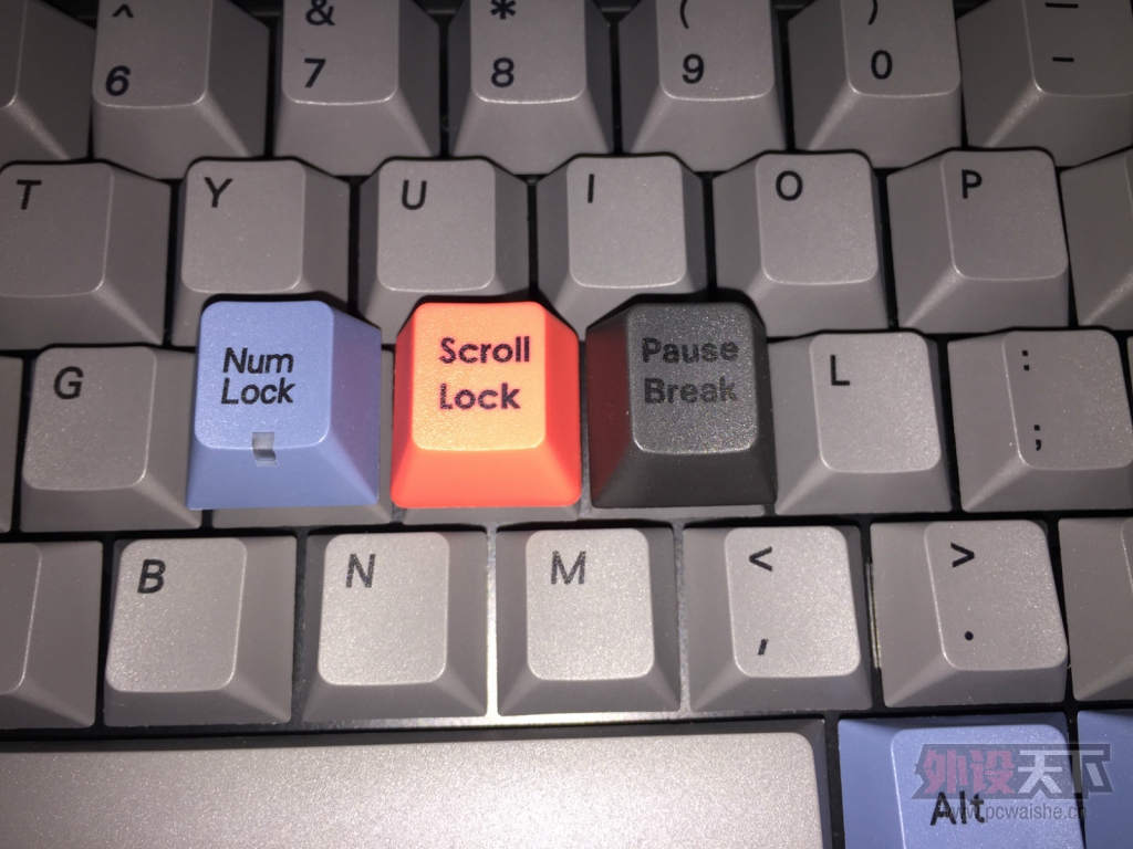 Leopold��������ñʮ������ɫ