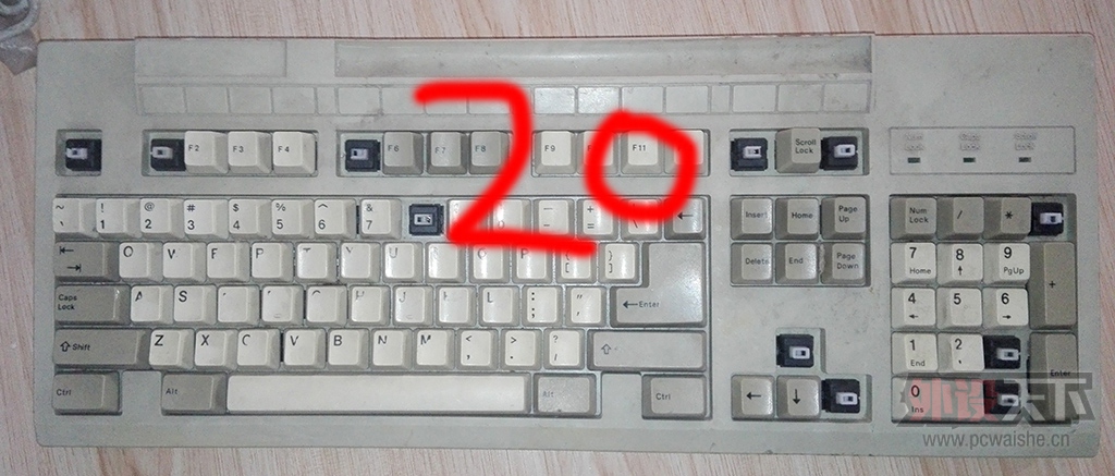 ������alps���