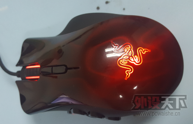 ���û���95�²���������٤������â�Ǻ�ɫ��M65rgb����è��