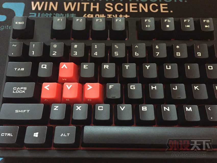 ���ˣ���������������������