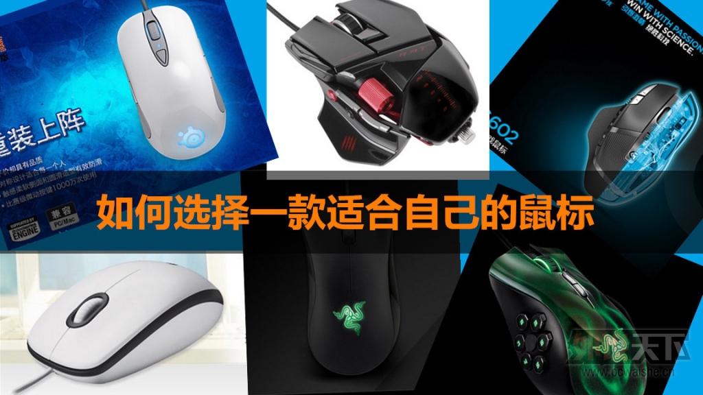 ������һЩ���顪�����ѡ��һ���ʺ��Լ������