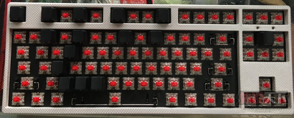 �Ը�Filco���ư� �޵�Cherry RGB����