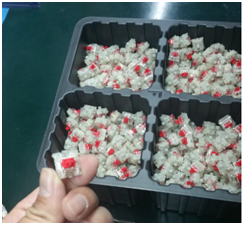 һ�Ѻü��̵ĵ�����--�ιۿ������������