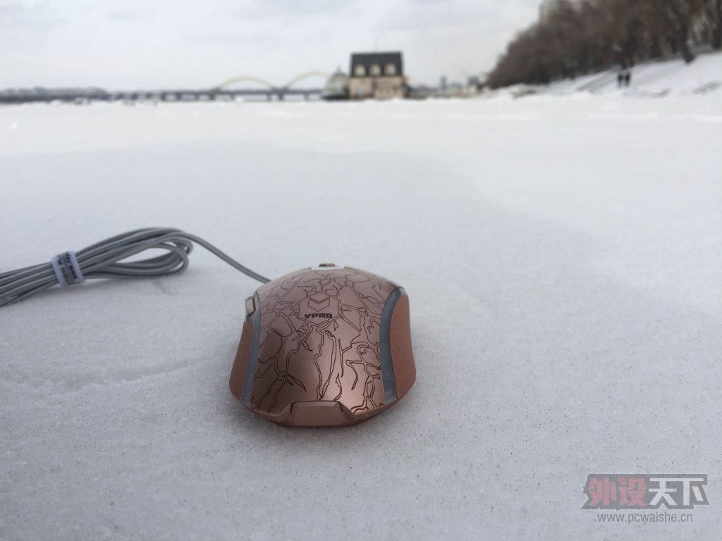 �Ƽ�����ò�Ľ�ϡ����������ſ�ק֮�ҵ��װ�V210