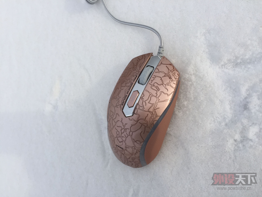 �Ƽ�����ò�Ľ�ϡ����������ſ�ק֮�ҵ��װ�V210