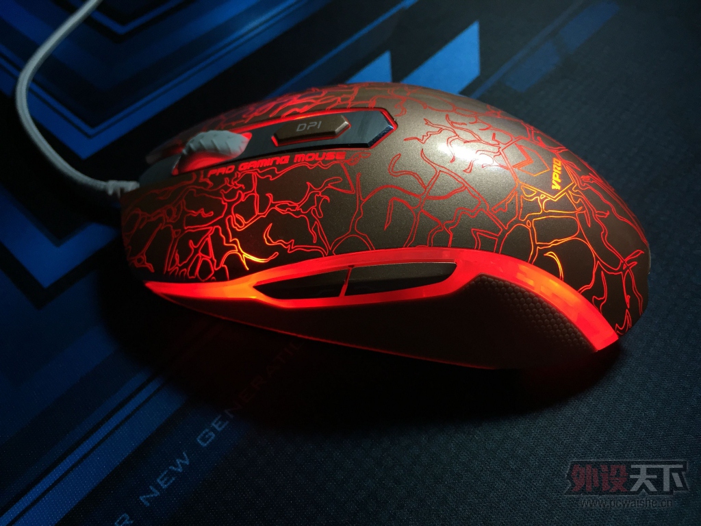 �Ƽ�����ò�Ľ�ϡ����������ſ�ק֮�ҵ��װ�V210